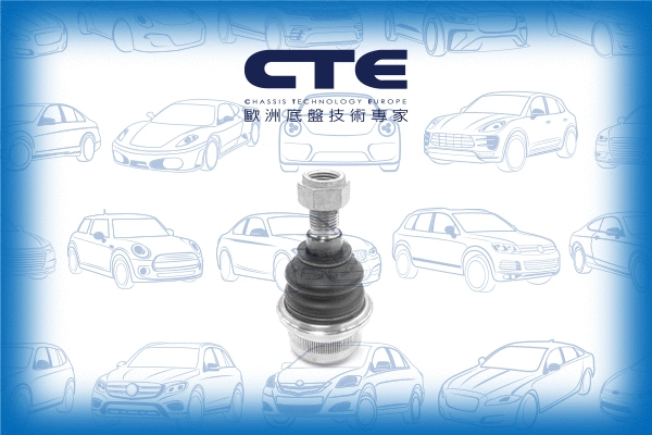 Ball Joint (CBJ21007)