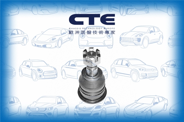 Ball Joint (CBJ06016)