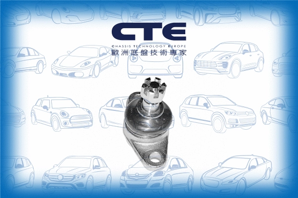 Ball Joint (CBJ02004)