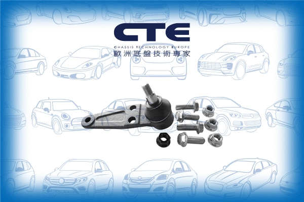 Ball Joint (CBJ17003A)