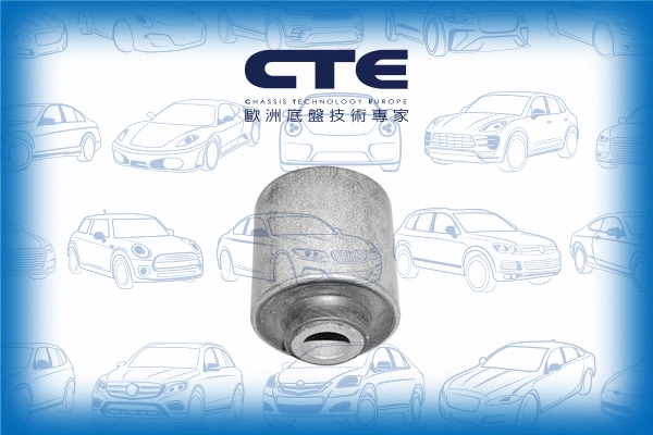 Mounting, control/trailing arm (CBH05012)