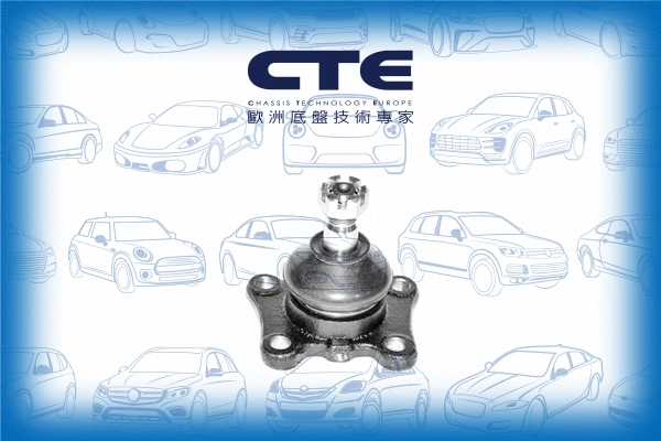 Ball Joint (CBJ02008)