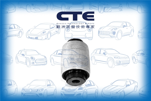 Mounting, control/trailing arm (CBH17019)