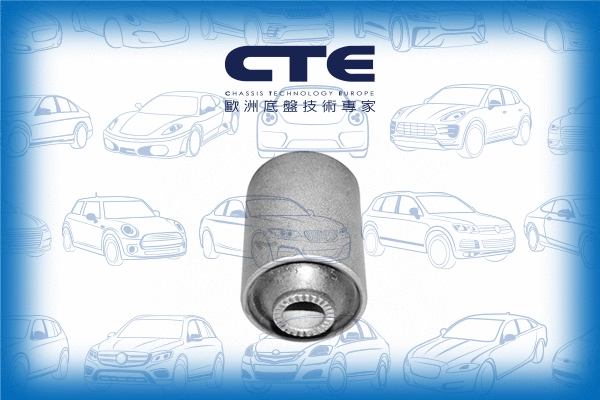 Mounting, control/trailing arm (CBH01003)