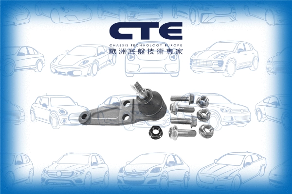 Ball Joint (CBJ17001A)