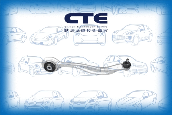 Control/Trailing Arm, wheel suspension (CS-2143R)