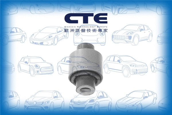 Mounting, control/trailing arm (CBH20021)