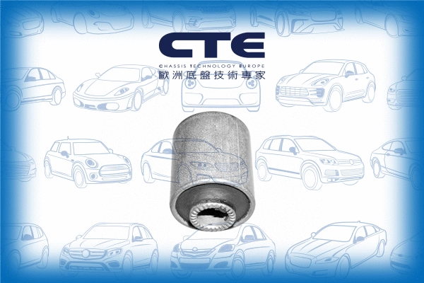 Mounting, control/trailing arm (CBH04003)