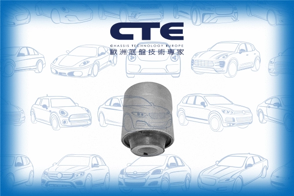 Mounting, control/trailing arm (CBH05020)