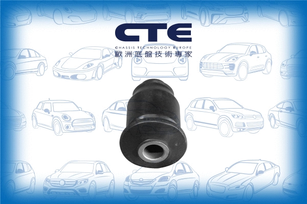 Mounting, control/trailing arm (CBH03039)