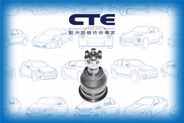 Ball Joint (CBJ06006)