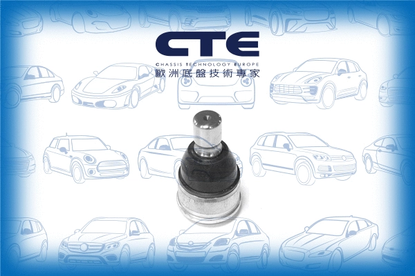 Ball Joint (CBJ03018)