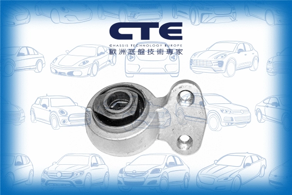 Mounting, control/trailing arm (CBH09010)