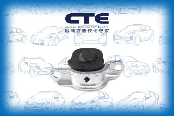 Mounting, control/trailing arm (CBH05025R)