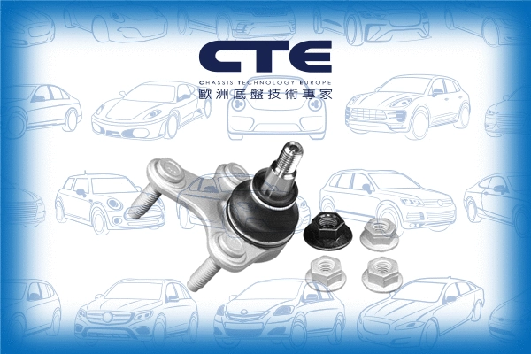 Ball Joint (CBJ20007RA)