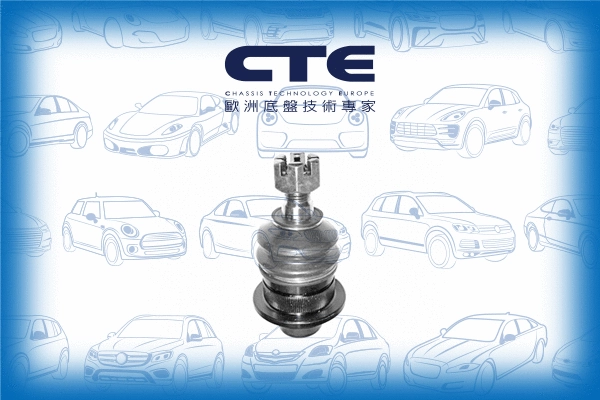 Ball Joint (CBJ05006)