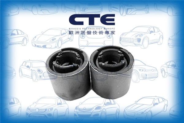Mounting, control/trailing arm (CBH09012)
