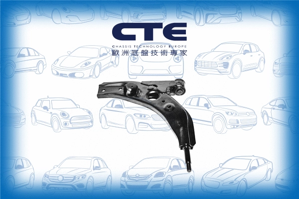 Control/Trailing Arm, wheel suspension (CS-313L)