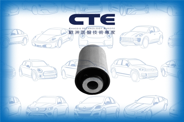 Mounting, control/trailing arm (CBH20026)