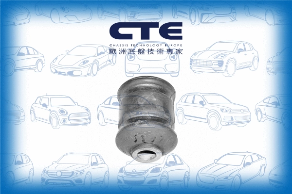 Mounting, control/trailing arm (CBH15005)