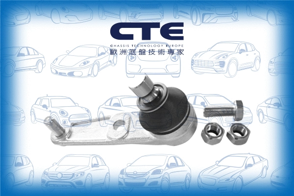 Ball Joint (CBJ03008A)