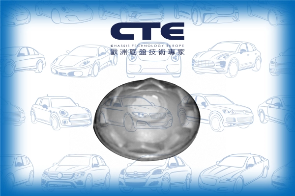 Mounting, control/trailing arm (CBH03010)