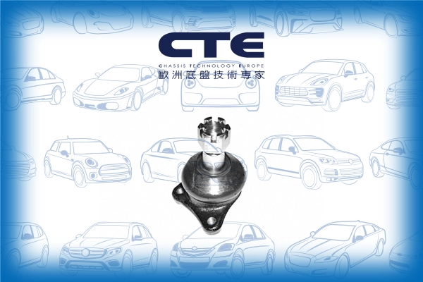 Ball Joint (CBJ03009)