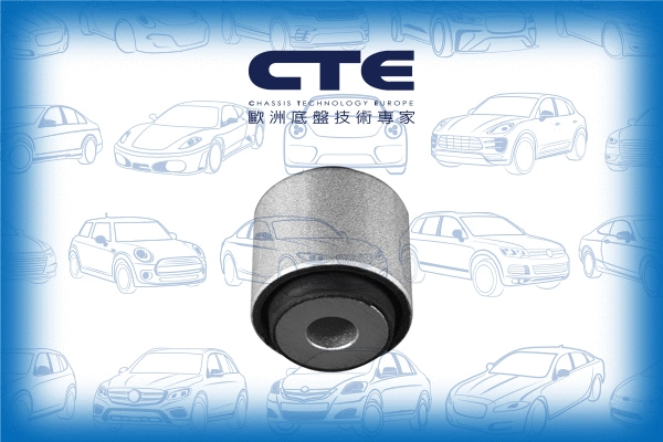 Mounting, control/trailing arm (CBH34002)