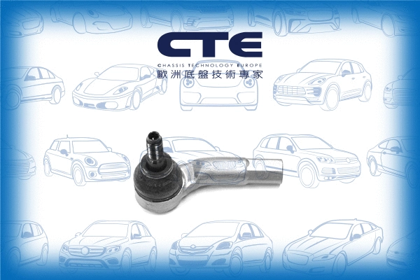 Tie Rod End (CTE20007L)