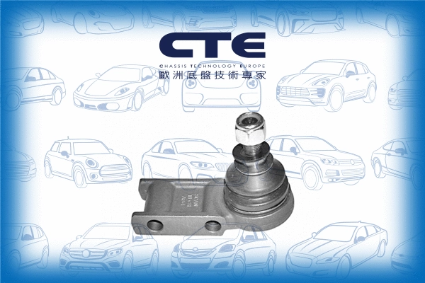 Ball Joint (CBJ27001)
