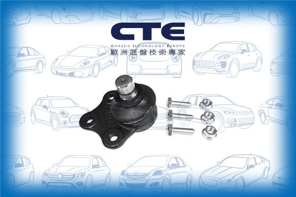 Ball Joint (CBJ03014A)