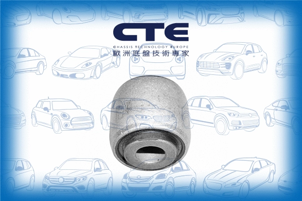 Mounting, control/trailing arm (CBH17009)