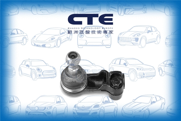 Tie Rod End (CTE31001L)