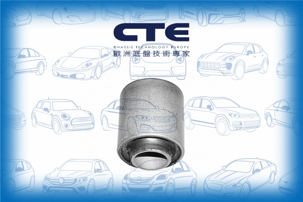 Mounting, control/trailing arm (CBH06017)