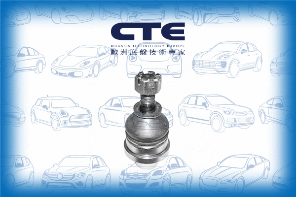 Ball Joint (CBJ02002)