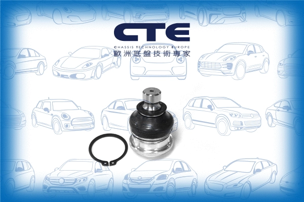 Ball Joint (CBJ26001)