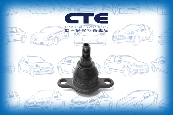 Ball Joint (CBJ20009)