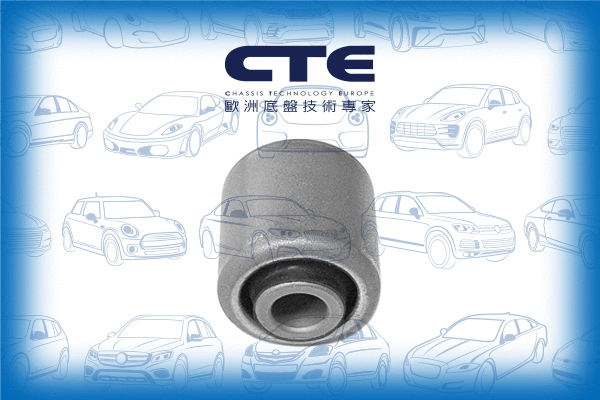 Mounting, control/trailing arm (CBH09026)