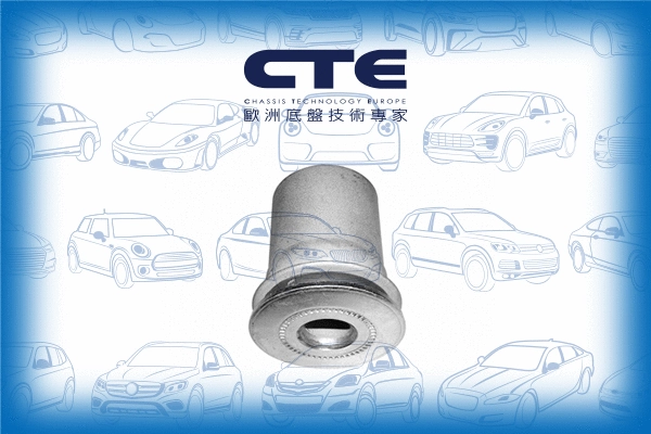 Mounting, control/trailing arm (CBH05004)