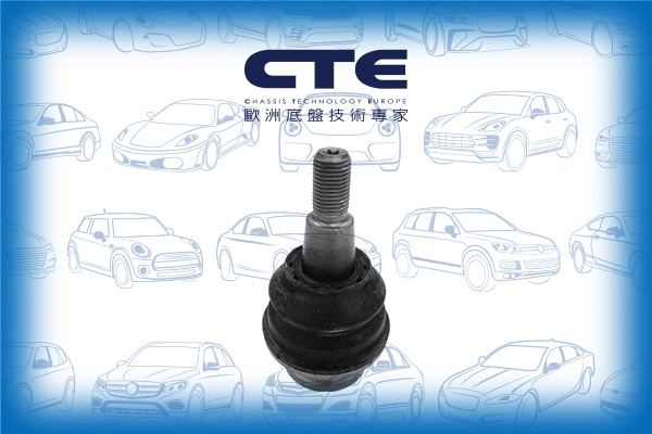 Ball Joint (CBJ19013)