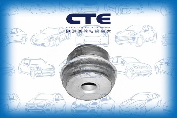 Mounting, control/trailing arm (CBH21001)