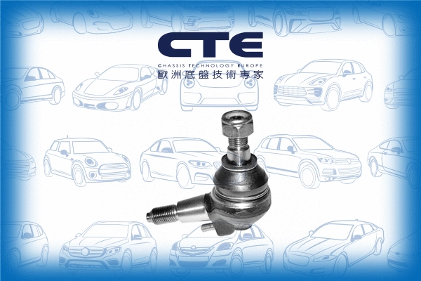 Ball Joint (CBJ21002)