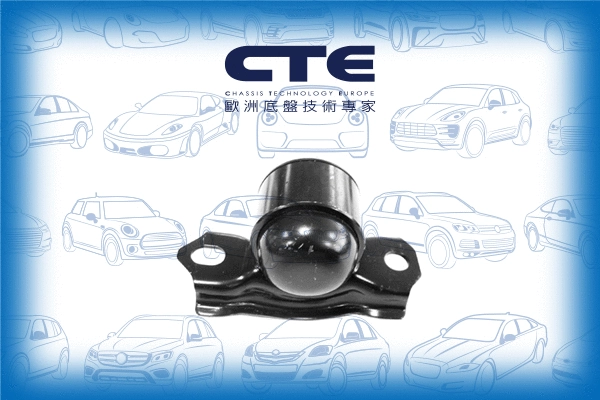 Mounting, control/trailing arm (CBH06046R)