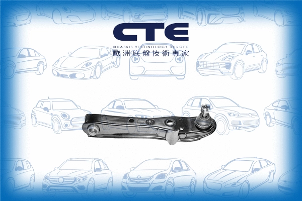 Control/Trailing Arm, wheel suspension (CS-202R)