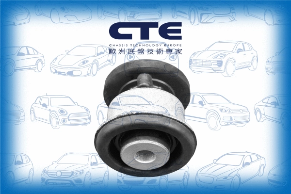 Mounting, control/trailing arm (CBH34003)