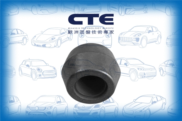 Mounting, control/trailing arm (CBH04002)