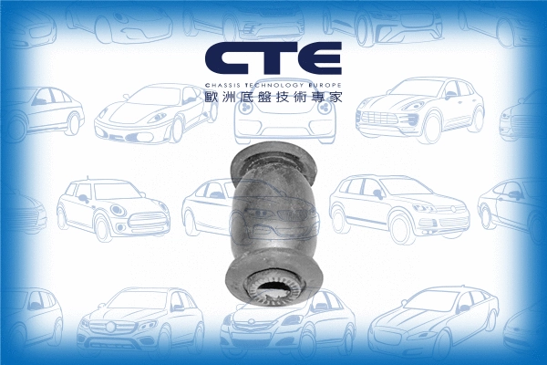 Mounting, control/trailing arm (CBH07001)