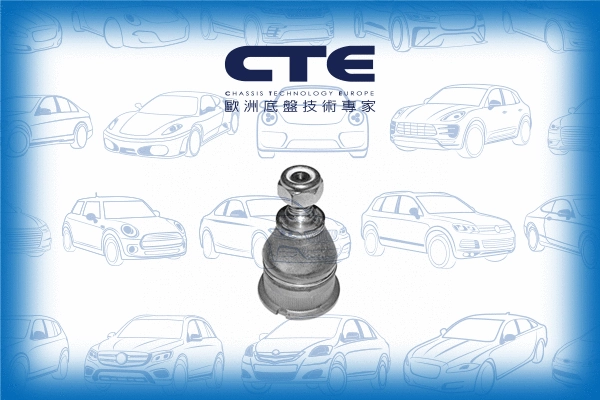 Ball Joint (CBJ20004)