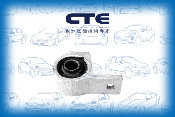 Mounting, control/trailing arm (CBH16012)