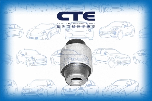 Mounting, control/trailing arm (CBH01012)